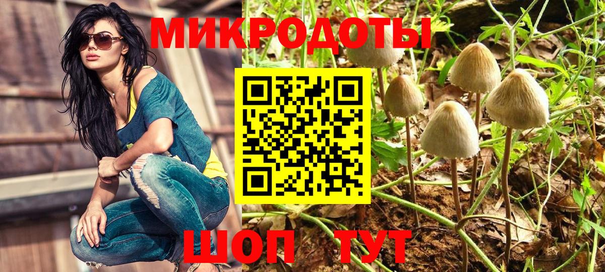 Ухта  Галлюциногенные грибы MAGIC MUSHROOMS  Вход с VPN 